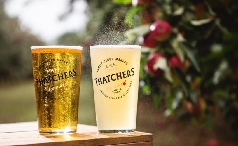 Thatchers Cider pint glasses